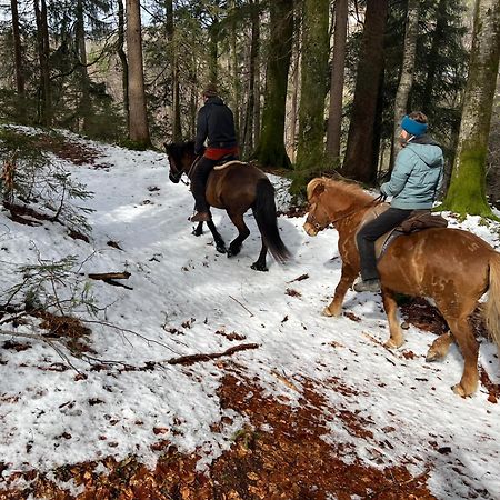 Winkelhof Apartman Oberstdorf Kültér fotó