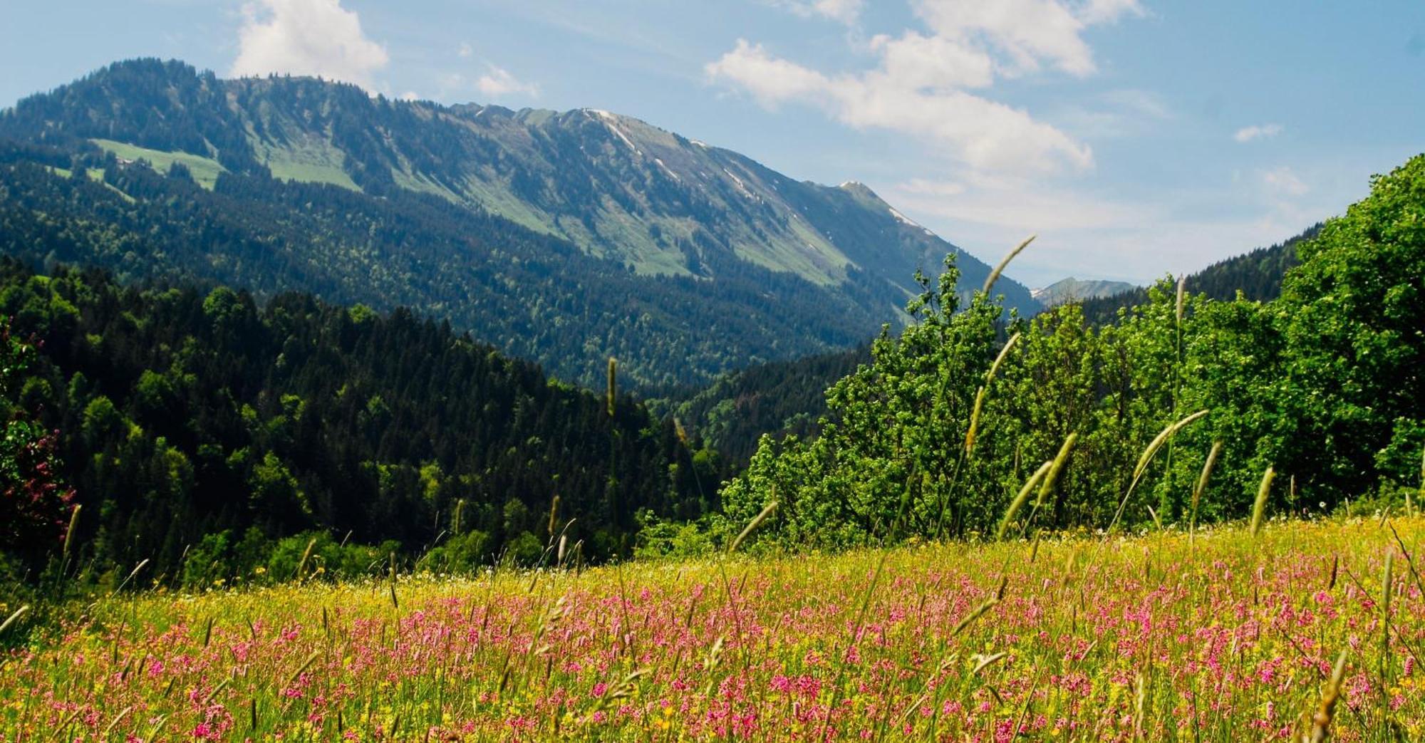 Winkelhof Apartman Oberstdorf Kültér fotó